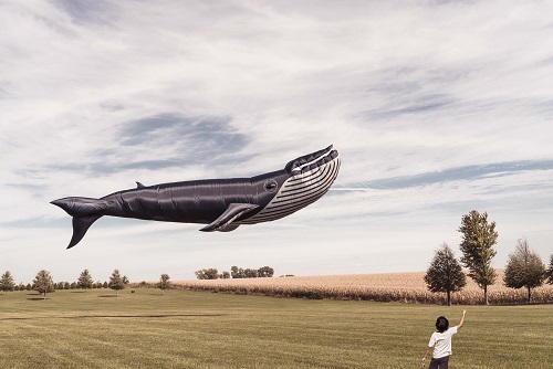 alt="dreams whale in sky floating"