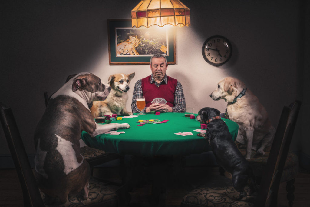 alt="playing poker with dogs"