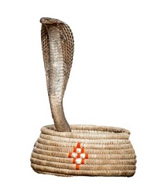 dream of king cobra in basket