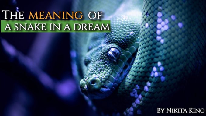 alt="dream image of blue and green snake"